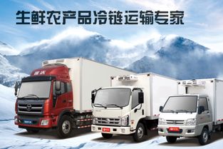 广州汽车市场动态与一站式运输打包服务概览